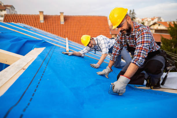 Steel Roofing in Gainesville, VA